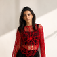 Web Mesh Top