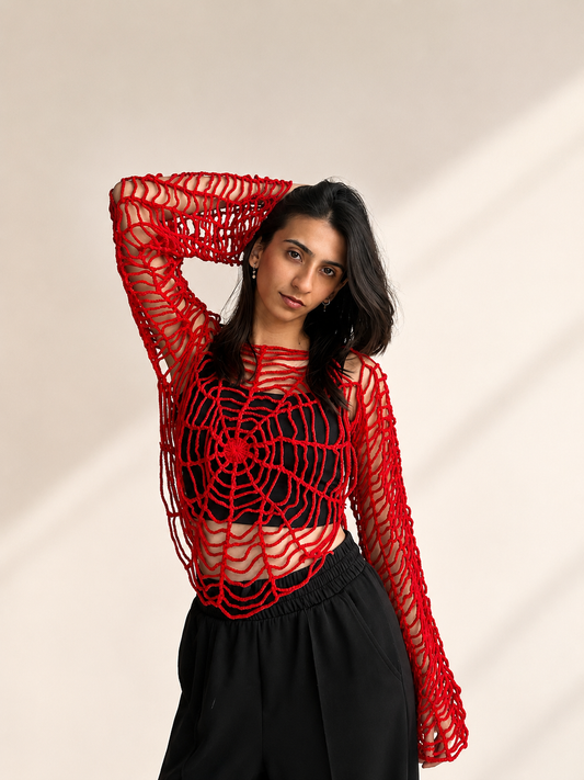 Web Mesh Top