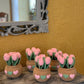 Tulip Pot