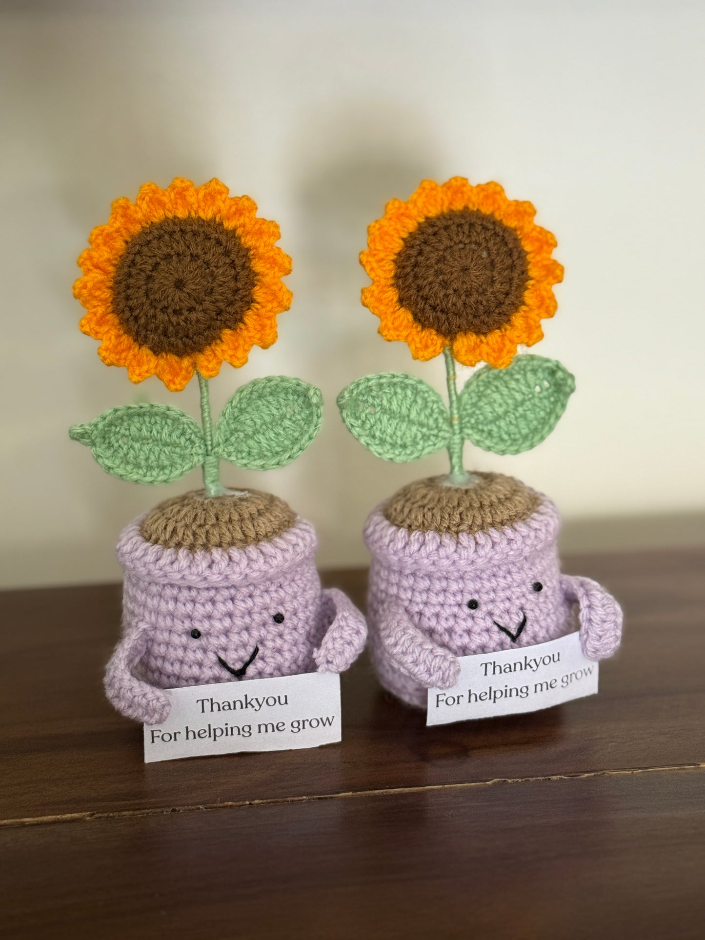Crochet Sunflower Pot | Mother’s Day